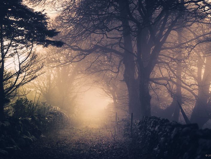 Boreen on a foggy morning