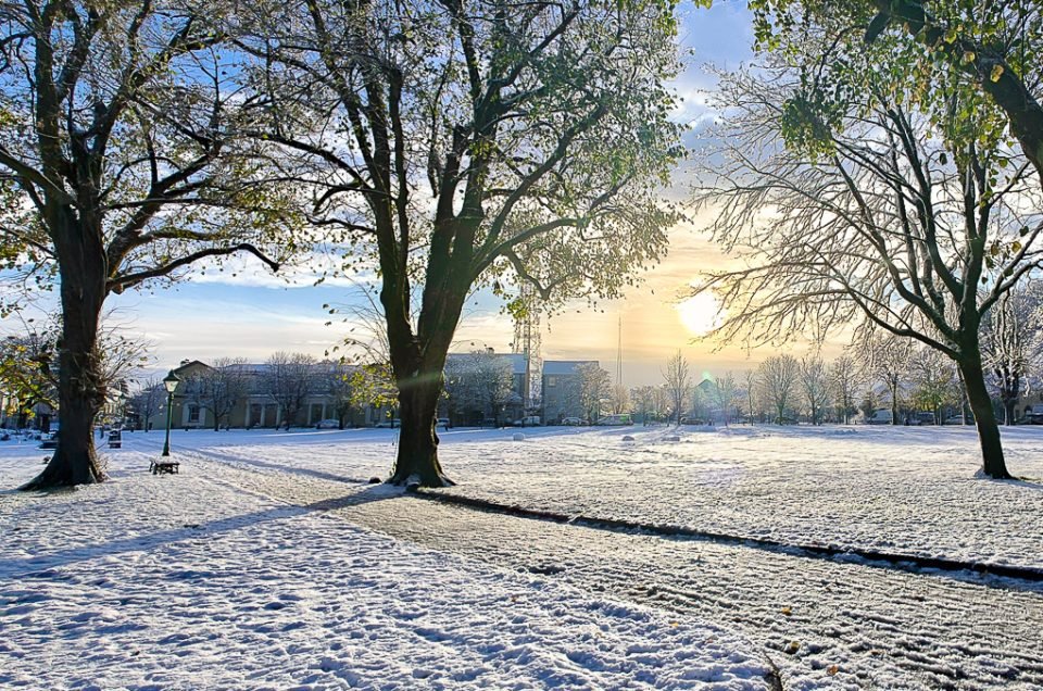A picture of tree in a snowy setting with low winter siushine in the background.