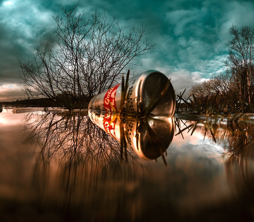 A discarded Coca-Cola can lies at the water's edge, reflected in still water beneath a teal, cloud-heavy sky, with bare branches framing both sides of the shoreline.