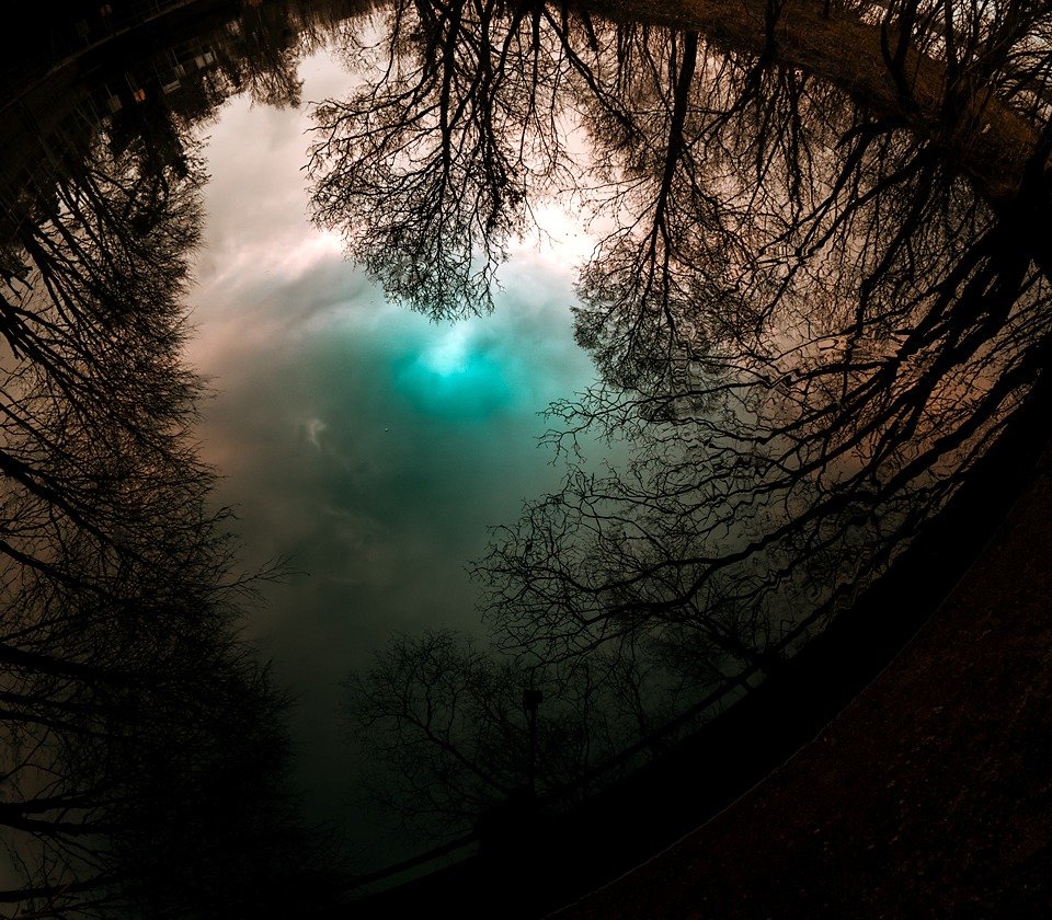 A fisheye reflection of bare tree branches encircling a teal-tinted sky and clouds mirrored in still water below.