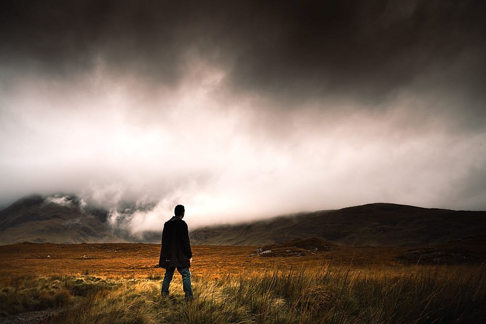A figure stands alone in a golden bog landscape, facing low mist and mountains under a heavy, dramatic sky.